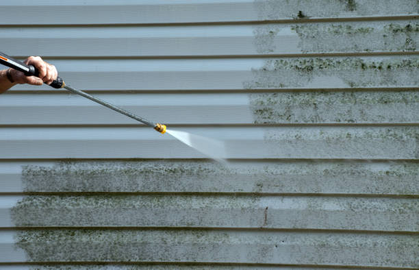 Best Fence Cleaning  in Rich Hill, MO
